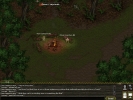 Campfire